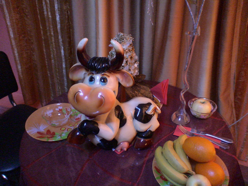 фотка помещения Кафе Оранжевая корова на 1 зал мест Краснодара
